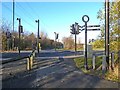 NZ3269 : Toucan crossing on Middle Engine Lane by Oliver Dixon