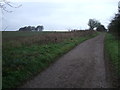 SU1273 : The Ridgeway, looking towards Berwick Bassett Clump by Vieve Forward