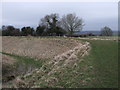 SU0786 : On the ramparts of Ringsbury Camp, near Dogridge, Purton by Vieve Forward