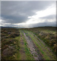 SJ1267 : Offa's Dyke path crossing Penycloddiau hill fort by Andy Waddington