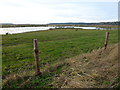 TF8944 : Marshland next to Lady Ann's Drive, Holkham by Richard Humphrey