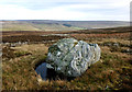 NY9629 : Gritstone boulder on Monk's Moor by Andy Waddington