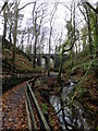 SC4178 : Bridge in Groudle Glen by Richard Hoare