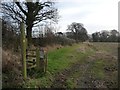  : Public footpath stile by an open field gate by Christine Johnstone