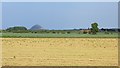 NT4881 : Arable land near Saltcoats Castle by Richard Webb