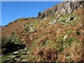 NY2705 : Pitched path ascending The Band by Graham Robson