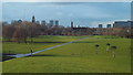 TQ3377 : Burgess Park, Christmas Day 2013 by Malc McDonald