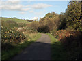 SS9386 : National Cycle Route 4 just south of Blackmill by eswales