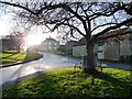 SK8925 : Bench round a tree, Skillington by Christine Johnstone