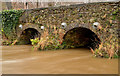 J3268 : The muddy Minnowburn, Belfast (December 2013) by Albert Bridge