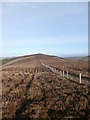 NT0930 : Fence between Middle Head and Blakehope Head by Alan O'Dowd