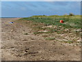 TF5759 : Flotsam on the edge of the dunes by Mat Fascione