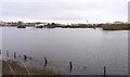 SZ1693 : Flood Waters at Purewell Meadows by Mike Smith