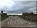 TM2341 : Field entrance off the A1156 Felixstowe Road by Geographer