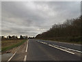 TM2341 : A1156 Felixstowe Road, Nacton by Geographer