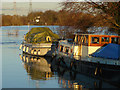 TQ0566 : River boats, Chertsey by Alan Hunt