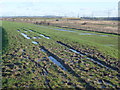 TQ6774 : Milton Firing Range and Eastcourt Marshes by Marathon