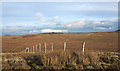 NY9508 : Fence line leaving Coney Seat Hill by Trevor Littlewood