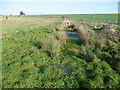 TR3159 : View of a drainage ditch from the Stour Valley Walk by Marathon