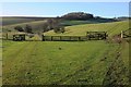 SP0919 : Cotswold farmland by Philip Halling