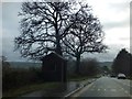 SY2698 : Bus shelter on west side of Kilmington by David Smith