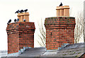 J4273 : Chimneys and pigeons, Dundonald by Albert Bridge