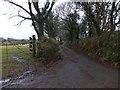 SX2282 : Cornish hedges on either side of the road north of Altarnun by David Smith