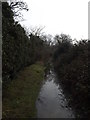 TM2650 : Bridleway to the A1152 Woods Lane by Geographer