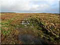 SD7676 : Summit Plateau of Park Fell by Chris Heaton