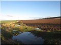 NU1030 : Arable land north of Warenton by Graham Robson