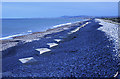 NJ3265 : Shingle Beach by Anne Burgess