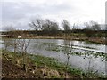 SP8015 : Flooded watermeadow by Alex McGregor