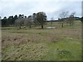 SJ7582 : Fishpond, Tatton Park by Christine Johnstone