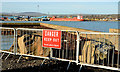 D4102 : Damaged and closed pier, Ballylumford (February 2014) by Albert Bridge