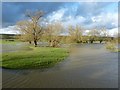 SP7211 : River Thame - western channel in flood  by Rob Farrow