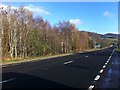 NN8864 : A9 near Blair Atholl by Darrin Antrobus