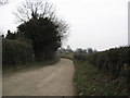 SO3384 : Lane in April - Lower Down, Shropshire by Martin Richard Phelan