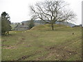 SO3384 : Castle earthworks 1 - Lower Down, Shropshire by Martin Richard Phelan