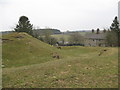 SO3384 : Castle earthworks 4 - Lower Down, Shropshire by Martin Richard Phelan