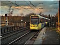 SD7807 : Tram Approaching Radcliffe by David Dixon