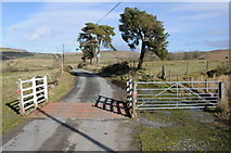  : Cattle grid on Littlehill Common by Philip Halling