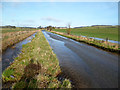 SU2677 : The Aldbourne near North Field Barn 3 by Des Blenkinsopp