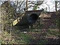 SU9947 : Disused railway bridge by Alan Hunt