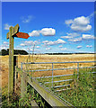 TA2271 : Footpath Waymarker by Scott Robinson