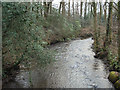 SS9085 : The Afon Garw/River Garw at Bryngarw Country Park by eswales