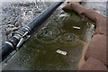 SU6414 : Water bubbling up through BT manhole cover by Peter Facey