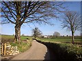  : Lane to Tavistock by Derek Harper