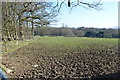 TQ5612 : Muddy field edge near Hackhurst Farm by Julian P Guffogg