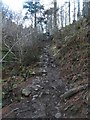 SK1985 : Steep Path in Parkin Clough by Anthony Parkes