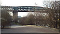 NZ3857 : Queen Alexandra Bridge, Sunderland by Malc McDonald